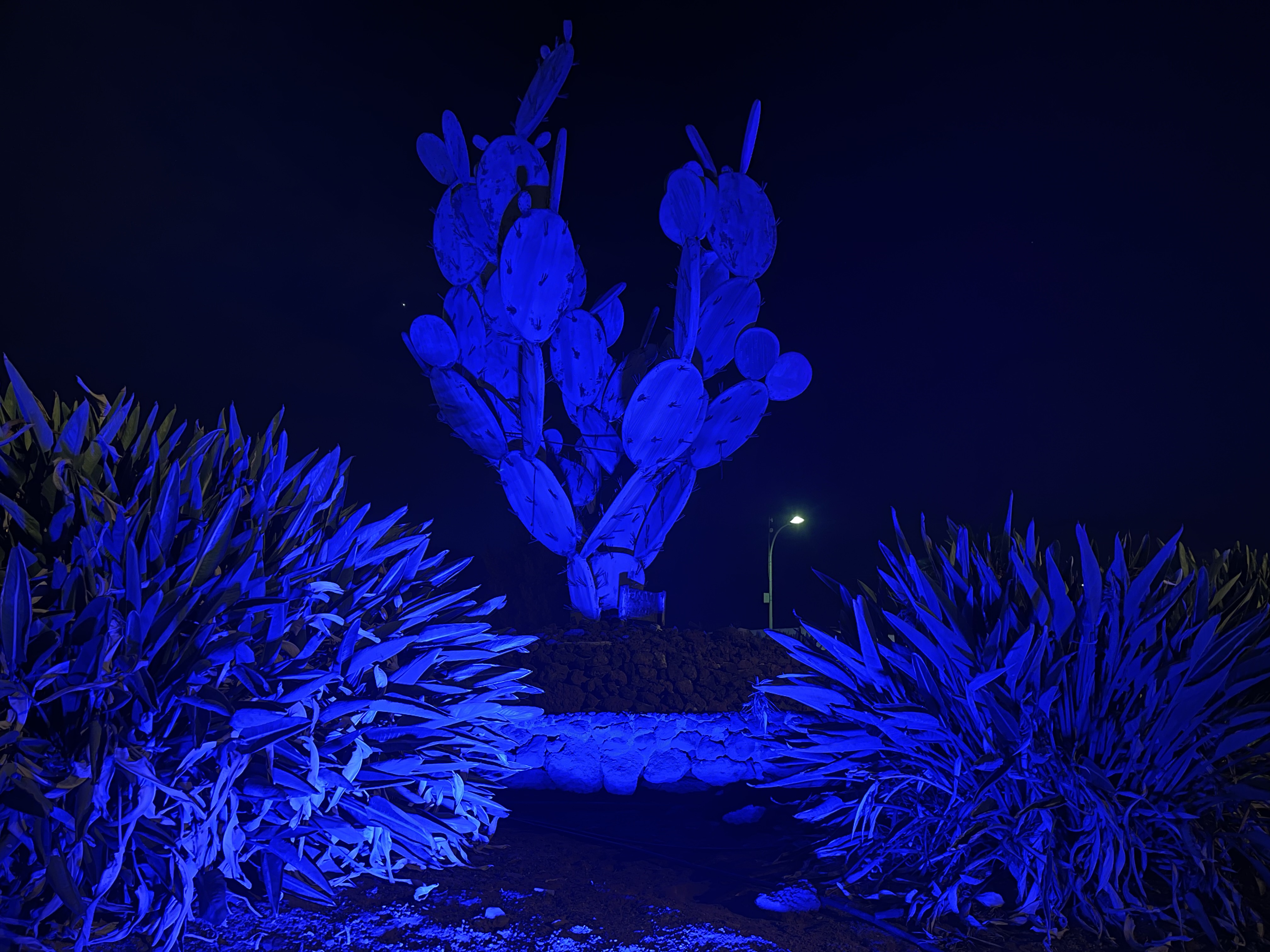 20250610_PRE_Rotonda Azul_03